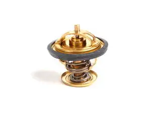 Thermostat Insert With Included O-ring