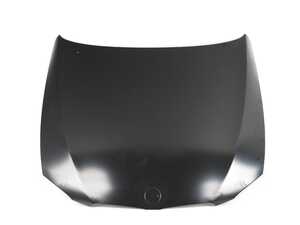 ES#4643103 - 41007268905sd - Genuine Hood - (NO LONGER AVAILABLE) *Scratch And Dent* - Primed and ready for paint - Scratch & Dent - 