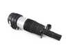 ES#4185189 - 37106869032 - Air Spring Strut -  Front Right - Vdc - Genuine BMW - BMW