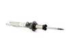 ES#2599068 - 31312284667 - Left Front Spring Strut - Genuine BMW - BMW