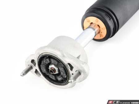 ES#3566024 - 218320023064 - Rear Shock Absorber - Right  - Rear Axle, Right Side - Genuine Mercedes Benz - Mercedes Benz