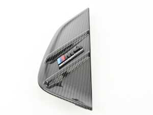 ES#4350314 - 51132469623 - GILL SIDE PANEL FRONT CFRP, - Genuine BMW - BMW