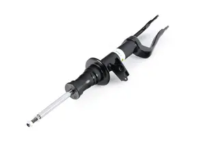 B4 OE Replacement Strut - Front Left