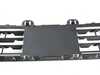 ES#2720507 - 51117325481 - GRILL, CENTER LOWER - Genuine BMW - BMW