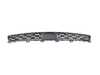 ES#2720507 - 51117325481 - GRILL, CENTER LOWER - Genuine BMW - BMW