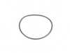 ES#42477 - 23121204578 - O-RING - Genuine BMW - BMW