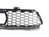ES#4187754 - 51118080767 - Grill -  Air Intake -  Center - M Frr - Genuine BMW - BMW