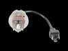 ES#4660204 - LFRB25 - Retrobright LED Forward Facing Light Bulb  - Classic White (3000K) - Priced Each - 7 inch Round Light, 5 in. x 7 in. Rectangle Light - Standard H4 Wiring Fits High and Low Beam - 3 Pin - Holley - Mercedes Benz Porsche