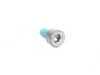 ES#40938 - 21207548052 - Pressure Plate Screw - Priced Each - Pre-packed with thread locker - Genuine BMW - BMW MINI
