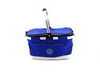 ES#2202422 - 15915 - Ants Not Allowed Cooler - (NO LONGER AVAILABLE) - Keep your drinks cool and ants out - DriverGear - 