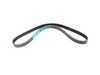 ES#279993 - 06B109119F - Timing Belt - The most important belt on your engine - Genuine Volkswagen Audi - Audi Volkswagen
