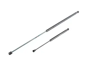 Hood & Trunk Strut Kit