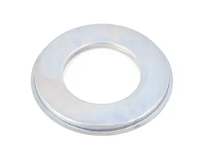 DUST RING