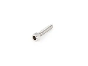 18-8 Stainless Steel Socket Head Screw M6 X 1 Mm Thread, 30 Mm Long