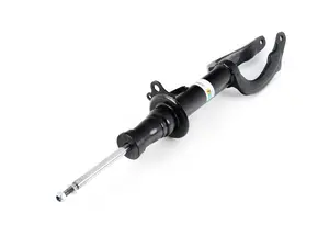 B4 OE Replacement Strut - Front Right