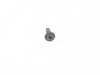 ES#2675877 - 07146977945 - FILLISTER HEAD SCREW - Genuine MINI - 