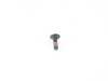 ES#2675877 - 07146977945 - FILLISTER HEAD SCREW - Genuine MINI - 