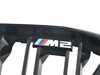 ES#4405253 - 51135A386B3 - GRILLE, FRONT, PAINTED - Genuine BMW - BMW