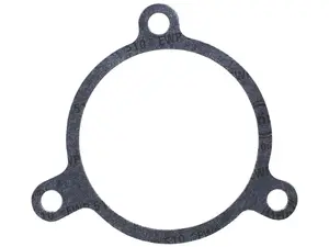 BMW Water Pump Gasket