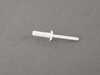 ES#2976951 - 07147378241 - BLIND COMPRESSION RIVET - Genuine BMW - BMW