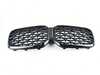 ES#4426049 - 51135A1AC59 - GRILL FRONT - Genuine BMW - BMW