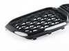 ES#4426049 - 51135A1AC59 - GRILL FRONT - Genuine BMW - BMW