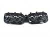 ES#4426049 - 51135A1AC59 - GRILL FRONT - Genuine BMW - BMW