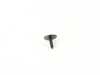 ES#3572117 - WHT008613 - BOLT - Genuine Volkswagen Audi - 