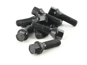 Lug Bolt Kit - Set Of 10 - 40mm 