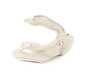 ES#2920632 - 34116799327 - PROTECTION PLATE LEFT - Genuine BMW - BMW