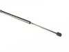 ES#3142383 - 4F9827552E - Hatch Strut - Priced Each - Keep your hatch from falling - Vaico - Audi