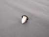 ES#76179 - 51127020321 - Nut Insert - Used to mount your rear license plate bracket - Genuine BMW - BMW MINI