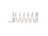ES#2672000 - 420825430B - SPRING - Genuine Volkswagen Audi - 