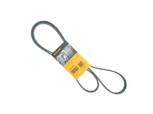 Serpentine Belt - Priced Each