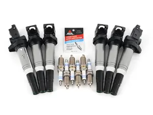 Performance Ignition Service Kit
