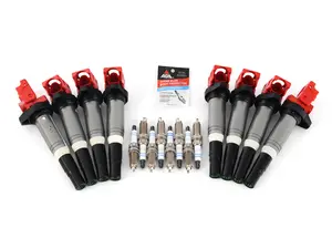 Ignition Service Kit 