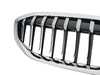ES#4188720 - 51137449432 - Grill Front - Luxury - Genuine BMW - BMW