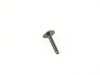 ES#2697682 - 17137790825 - SCREW - Genuine MINI - MINI
