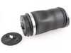 ES#4684698 - 251320042564 - Rear Suspension Air Spring - Priced Each  - Rear Axle - Left & Right - Vemo - Mercedes Benz