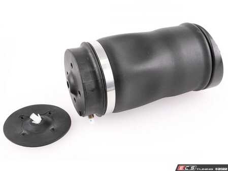 ES#4684698 - 251320042564 - Rear Suspension Air Spring - Priced Each  - Rear Axle - Left & Right - Vemo - Mercedes Benz