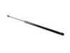 ES#92351 - 51248230070 - Trunk Gas Strut - Priced Each - Holds your trunk lid up. - Genuine BMW - BMW