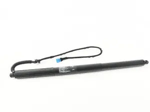 Hatch Shock - Gas Pressurized Support