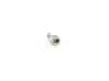 ES#29657 - 12312322411 - BOLT - Genuine BMW - 