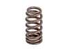 ES#4690063 - MS100258 - APR Valve Spring Kit - Priced Per Spring - Lighter, stiffer, and supports higher revving! - APR - Audi Volkswagen