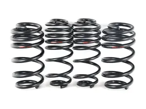 B8/B8.5 A4/S4 Lowering Springs & Installation Kit