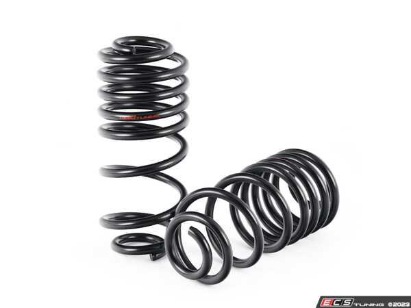 ECS - 051204LA01-A - B9 A4 / S4 Lowering Spring Set
