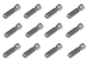 ES#4690579 - 90110537002KIT - Valve Adjusting Screw - Set Of 12 - Featuring Hamburg Technic Set of Twelve Valve Adjusting Screws - Hamburg Tech - Porsche