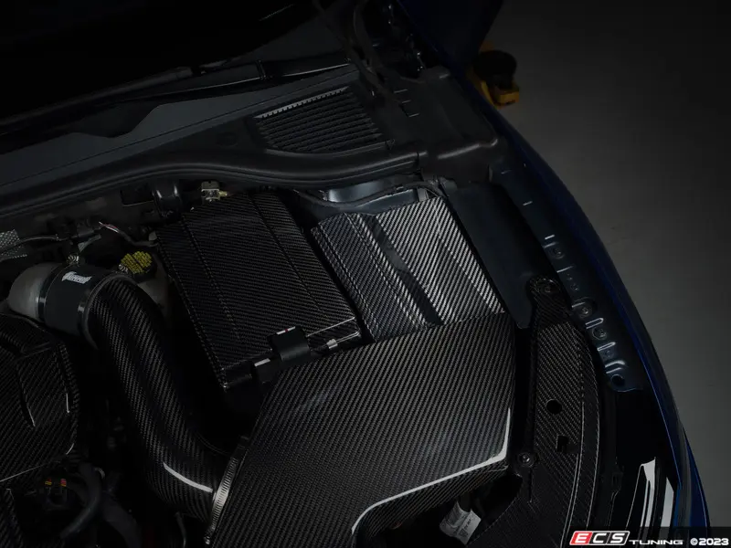 ECS - 015006LA01-01 - MK8 GTI / Golf R & 8Y A3/ S3 Carbon Fiber