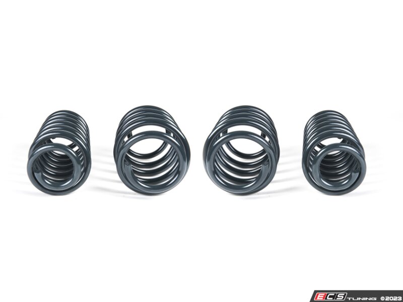 Racingline - VWR31F020 - RacingLine Sport Spring Set