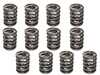 ES#4691361 - 99610593900KIT12 - Intake Valve Spring - Set Of 12 - Featuring Hamburg Technic Full Set of Valve Springs - Hamburg Tech - Porsche